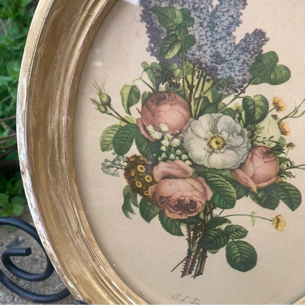 Vintage Framed Oval Botanical Print by Jean Louis (J.L.) Prevost Cottagecore Art - Picture 9 of 16